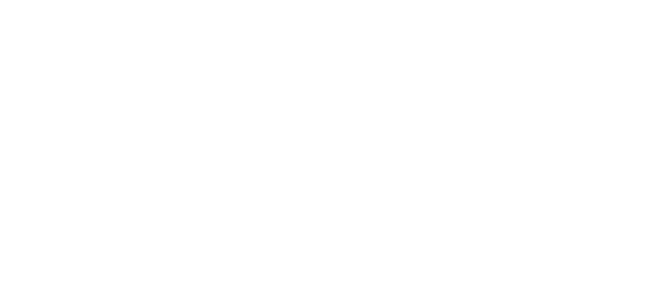 AIMING FOR A RICH CAR LIFE FOR CUSTOMERS